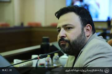 IMG_1964 copy